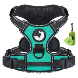 Joytale No Pull Dog Harness B0CJC7MD34