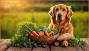 key benefits of organic dog food key benefits of organic dog food