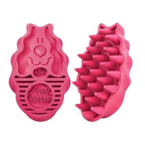 KONG ZoomGroom Dog B0002AR1A0