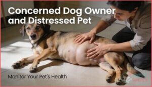 look for abdominal swelling or distress look for abdominal swelling or distress