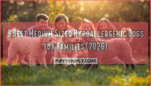 medium sized hypoallergenic dogs medium sized hypoallergenic dogs
