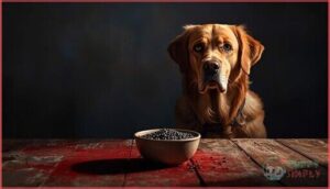 no, dogs shouldn’t eat poppy seeds no, dogs shouldn’t eat poppy seeds