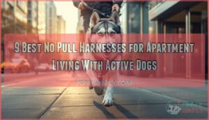 no pull harnesses for apartment living with active dogs