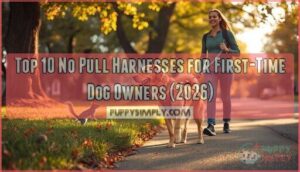 no pull harnesses for first time dog owners no pull harnesses for first time dog owners
