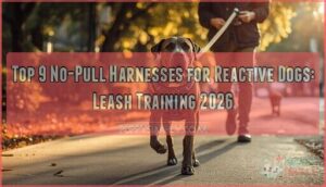 no pull harnesses for leash training reactive dogs no pull harnesses for leash training reactive dogs