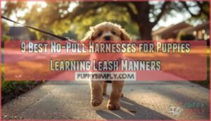 no pull harnesses for puppies learning leash manners no pull harnesses for puppies learning leash manners