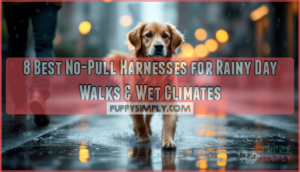 no pull harnesses for rainy day walks and wet climates