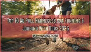 no pull harnesses for running and jogging with dogs no pull harnesses for running and jogging with dogs