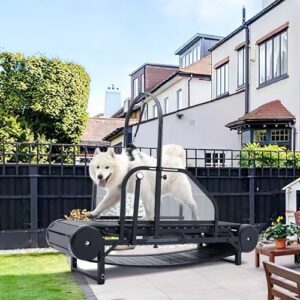 Non Motorized Dog Treadmill for Large B0CT682ZHG