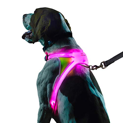 Noxgear LightHound – Revolutionary Illuminated
