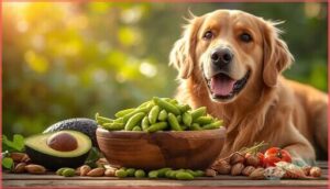 nutritional benefits of edamame for dogs nutritional benefits of edamame for dogs