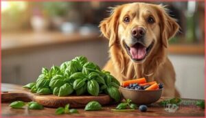 nutritional value of basil for dogs nutritional value of basil for dogs