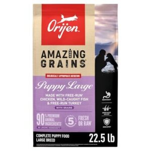 ORIJEN Amazing Grains High Protein B09QLLYSJF