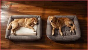 orthopedic beds vs. standard dog beds orthopedic beds vs. standard dog beds