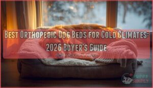 orthopedic dog beds for dogs that live in cold climates orthopedic dog beds for dogs that live in cold climates