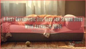 orthopedic dog beds for senior dogs with arthritis