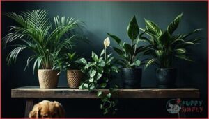other common toxic houseplants other common toxic houseplants