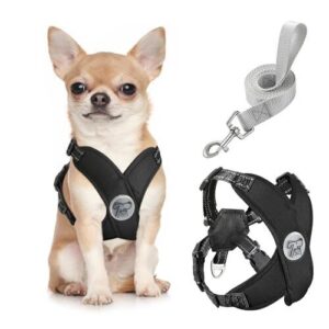 Pawaboo Small Dog Harness and B0CN17XSKD