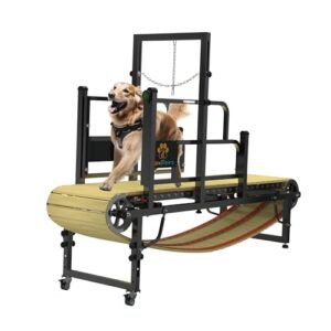 PawPaw's Dog Treadmill for Large B0B7KY7WCH