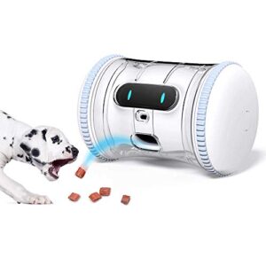 Pet Fitness Robot: Interactive Treat B07RRD3JGQ