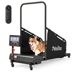 PETSITE Dog Treadmill, Pet Dog B081J9ZFGD