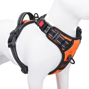 PHOEPET No Pull Dog Harness B07GVCFQV6