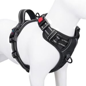 PHOEPET No Pull Dog Harness B07GVG1VV1