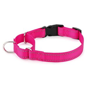 PLUTUS PET Reflective Martingale Collar B08HSHQCCJ