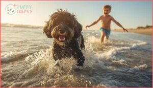 portuguese water dog portuguese water dog