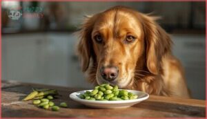 potential risks of feeding edamame to dogs potential risks of feeding edamame to dogs