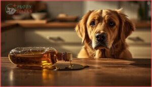 potential risks of feeding olive oil to dogs potential risks of feeding olive oil to dogs