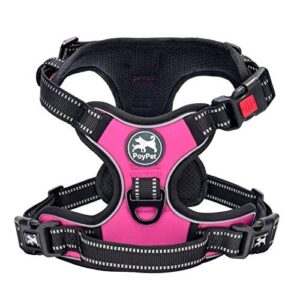 PoyPet No Pull Dog Harness, B0792X4B29