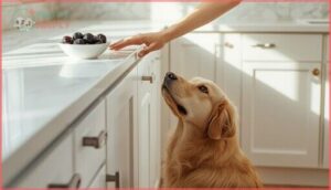 preventing accidental prune ingestion preventing accidental prune ingestion