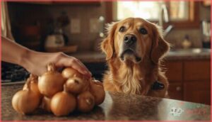 preventing onion toxicity in dogs preventing onion toxicity in dogs