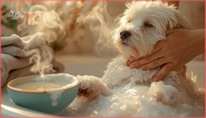 proper shampoo application techniques proper shampoo application techniques