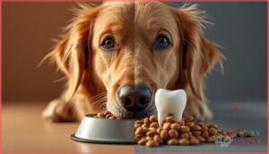 pros and cons of dry dog food for teeth pros and cons of dry dog food for teeth