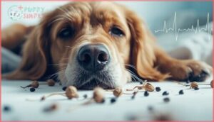 pupil, breathing, and heart rate changes pupil, breathing, and heart rate changes