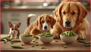 recommended green bean portions for dogs recommended green bean portions for dogs