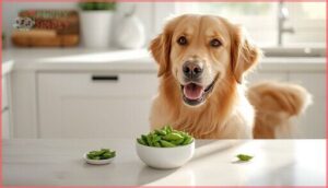 recommended serving size for dogs recommended serving size for dogs