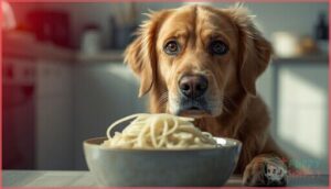 risks and concerns of feeding rice noodles risks and concerns of feeding rice noodles