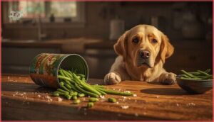 risks and considerations of feeding green beans risks and considerations of feeding green beans