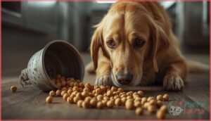 risks of feeding chickpeas to dogs risks of feeding chickpeas to dogs