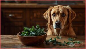 risks of feeding cooked kale to dogs risks of feeding cooked kale to dogs