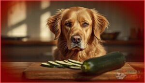 risks of feeding dogs zucchini risks of feeding dogs zucchini