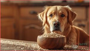 risks of feeding sesame seeds risks of feeding sesame seeds