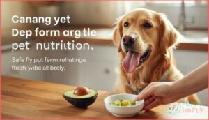 safe ways to feed avocado to dogs safe ways to feed avocado to dogs