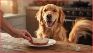 safe ways to feed pork to your dog safe ways to feed pork to your dog
