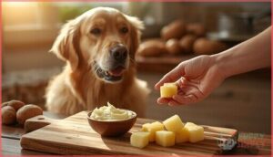 safe ways to feed potatoes to dogs safe ways to feed potatoes to dogs