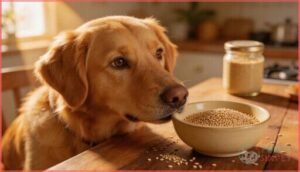 sesame seeds for dogs at a glance sesame seeds for dogs at a glance