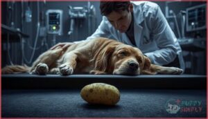 severe neurological signs severe neurological signs